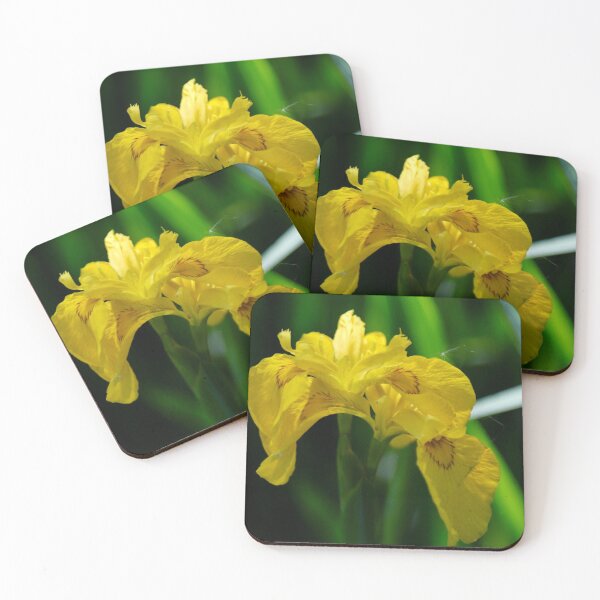Item preview, Yellow beauty designed and sold by Roobear13.