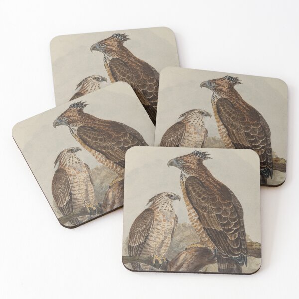 Item preview, Legge's Mountain Hawk-eagle And Juvenile designed and sold by laguitan10.