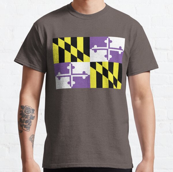 Montgomery County Maryland Flag shirt (unlabeled)