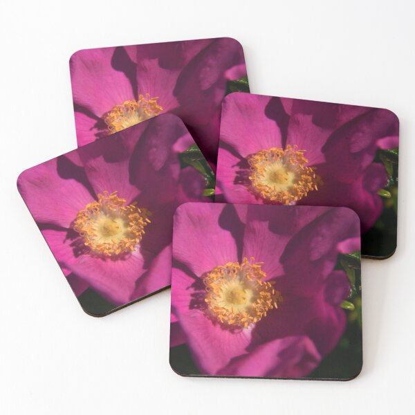 Item preview, Rosa Rugosa designed and sold by Poete100.