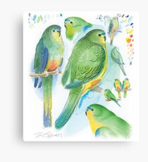 Orange-bellied Parrot Canvas Print