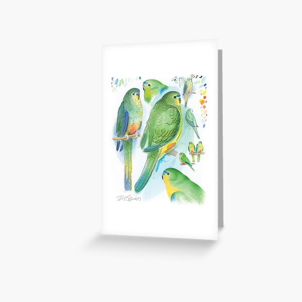 Orange-bellied Parrot Greeting Card