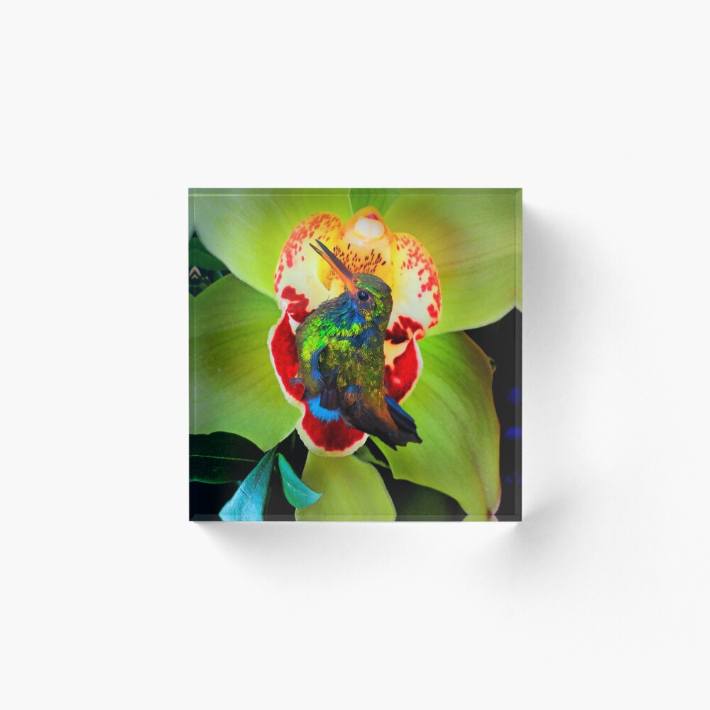 Item preview, Acrylic Block designed and sold by alabca.