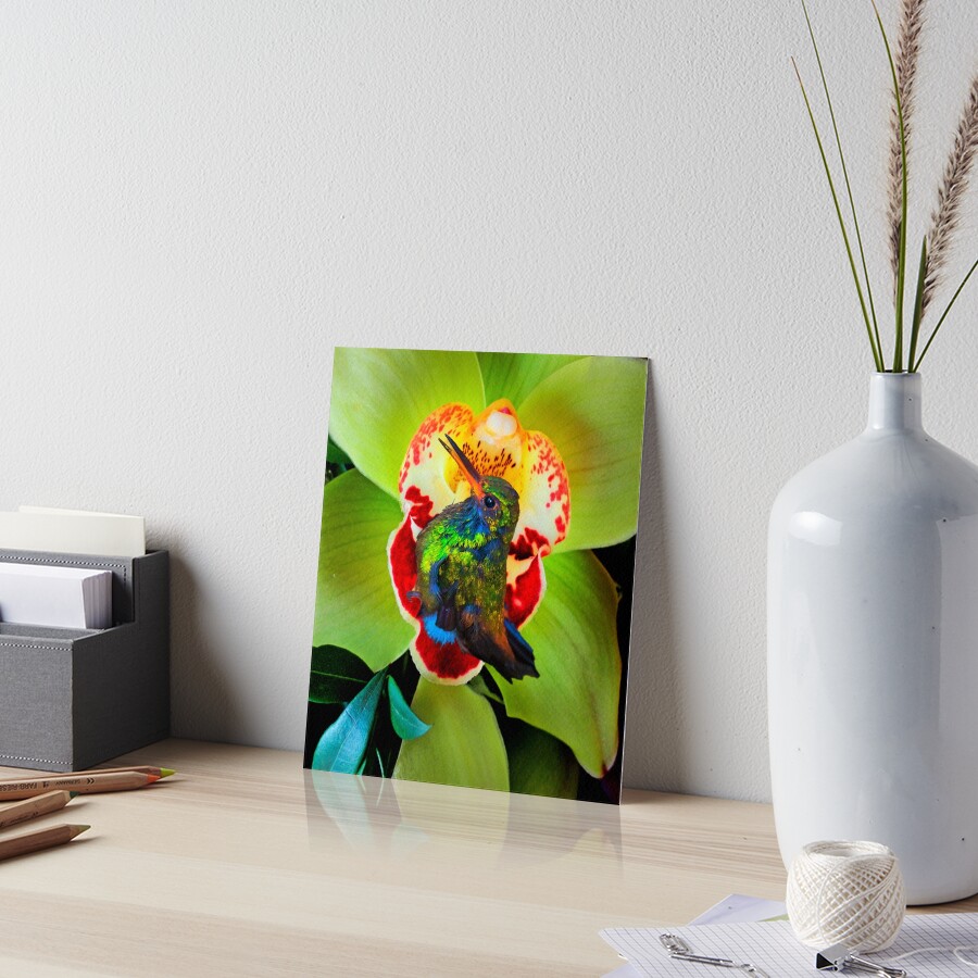 Item preview, Art Board Print designed and sold by alabca.