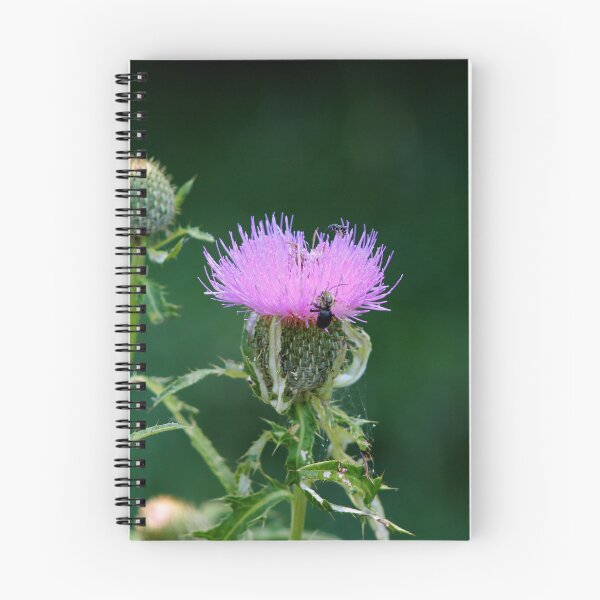 Item preview, Purple Thistle & The Bee designed and sold by Cr8tive4life.