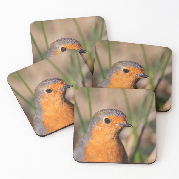 Item preview, Robin close up designed and sold by GreyFeatherPhot.
