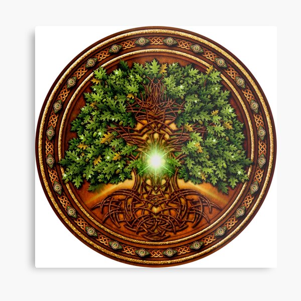 Celtic Oak Tree Shield Metal Print