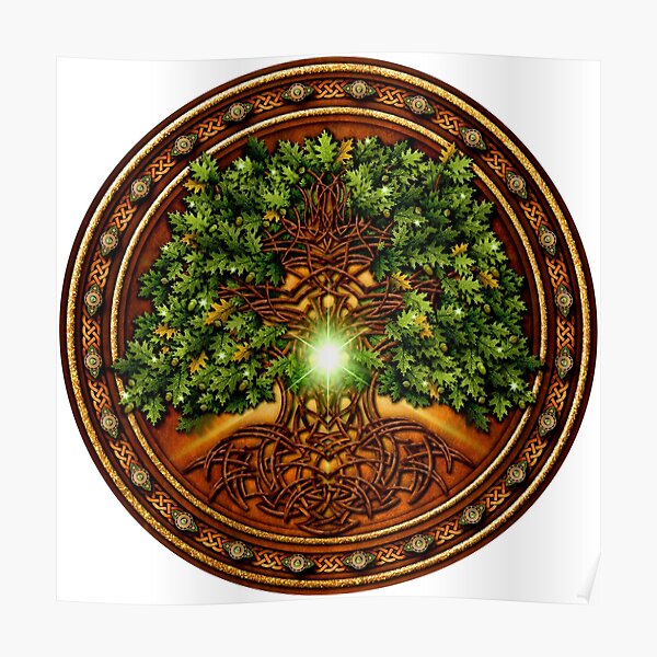 Celtic Oak Tree Shield Poster