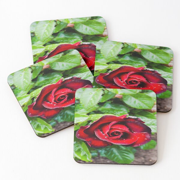 Item preview, Will You Accept This Rose? designed and sold by MagicEmpress.