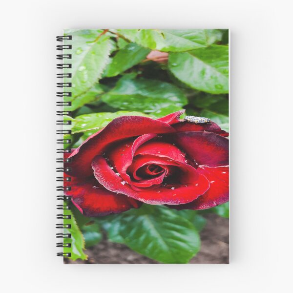 Item preview, Will You Accept This Rose? designed and sold by MagicEmpress.