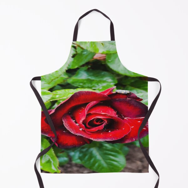 Item preview, Will You Accept This Rose? designed and sold by MagicEmpress.