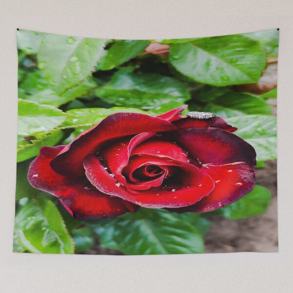 Item preview, Will You Accept This Rose? designed and sold by MagicEmpress.