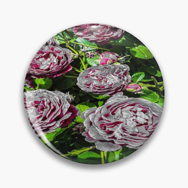 Item preview,  Will You Accept This Rose? designed and sold by MagicEmpress.