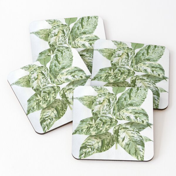 Item preview, Ficus Aspera Parcelli - Clown Fig designed and sold by redoARTstore.
