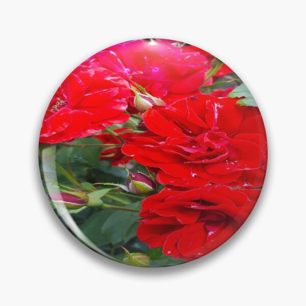 Item preview,  Will You Accept This Rose? designed and sold by MagicEmpress.