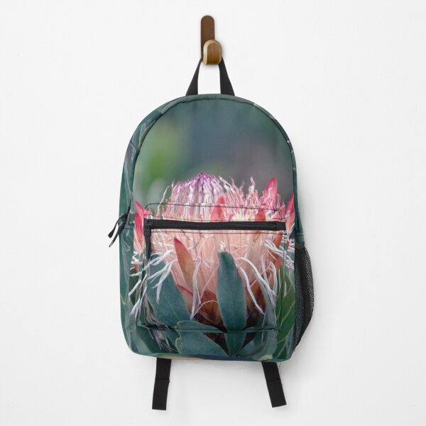 Item preview, A South African Beauty - 'Protea Nerifolia' or 'Blue Sugarbush' designed and sold by imaginethis.