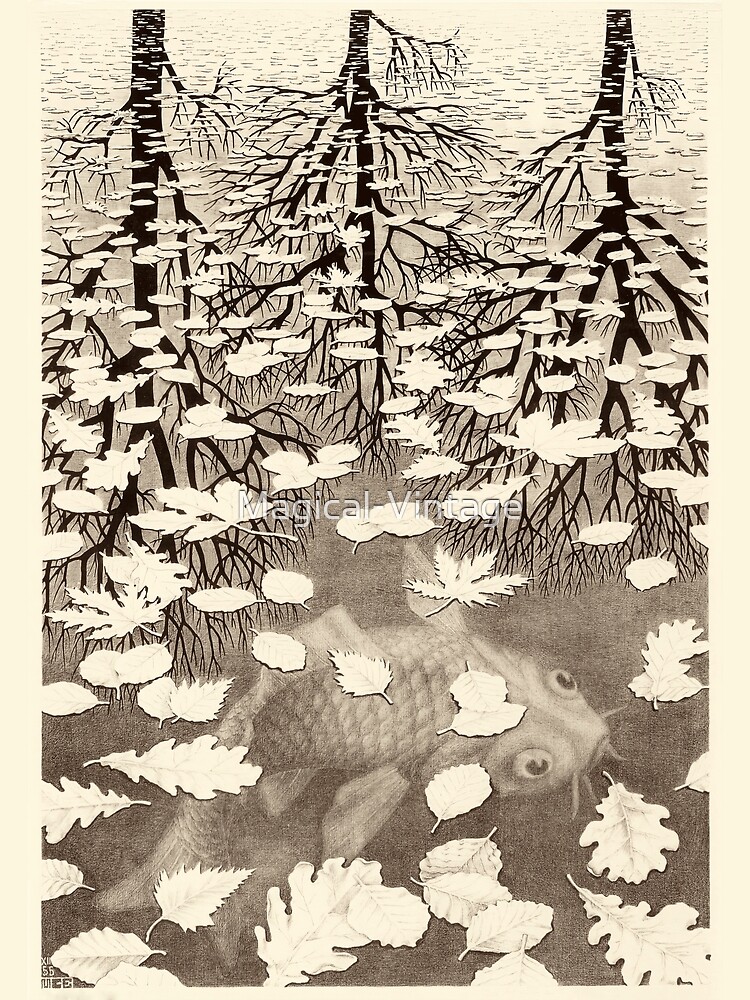 Disover M.C. Escher - Three Worlds, 1955 Premium Matte Vertical Poster