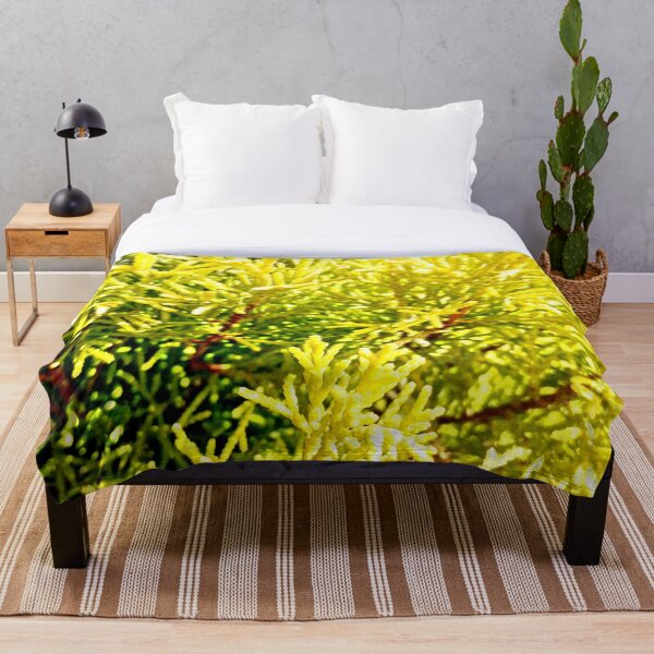 Item preview, Sol, brillando sobre un abeto puntiagudo designed and sold by JANDR-Designs.