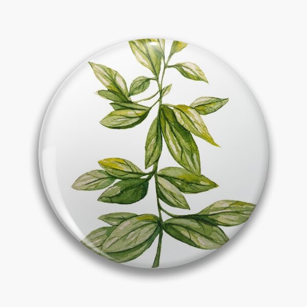 Item preview, watercolor series: Oregano designed and sold by Mambeska ART.