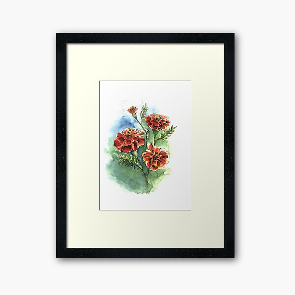 Marigold Flowers Watercolor Painting Framed Art Print