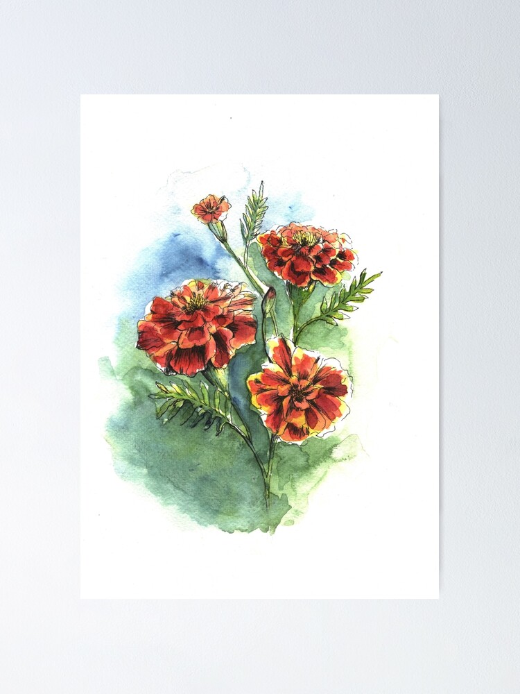 Póster «Flores De Caléndula Pintura A La Acuarela» de RatnaArts | Redbubble