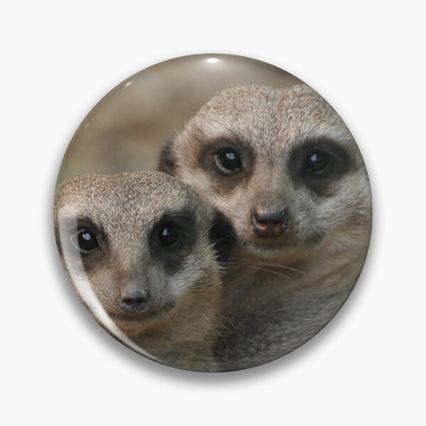 Item preview, Meerkat 067 designed and sold by JAMFoto.