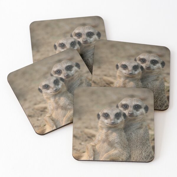 Item preview, Meerkat 067 designed and sold by JAMFoto.