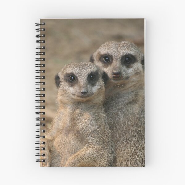 Artikelvorschau, Meerkat 067 entworfen und verkauft von JAMFoto.