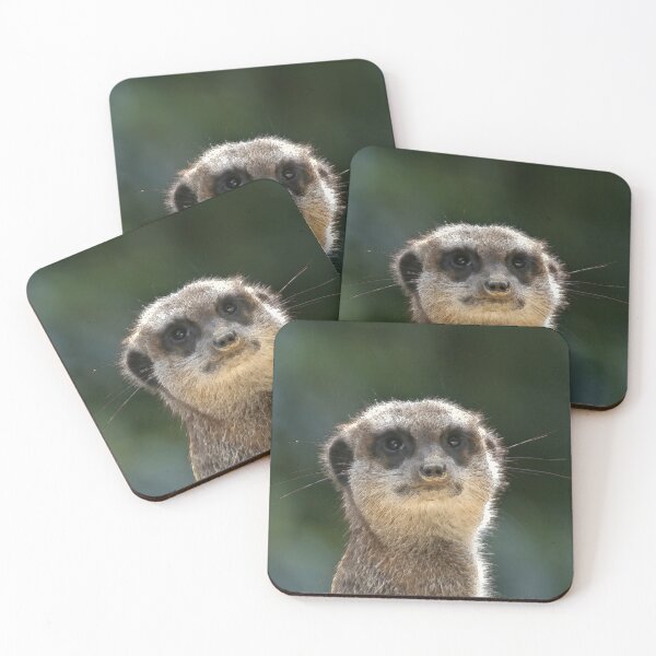 Item preview, Meerkat 068 designed and sold by JAMFoto.