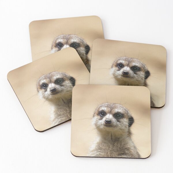 Item preview, Meerkat 069 designed and sold by JAMFoto.