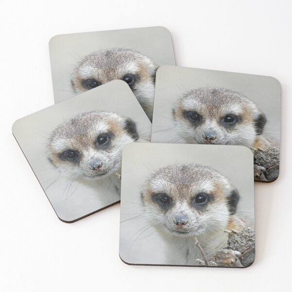 Item preview, Meerkat 070 designed and sold by JAMFoto.
