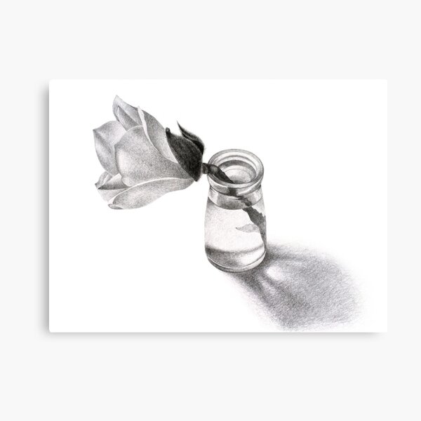 The First Magnolia Metal Print