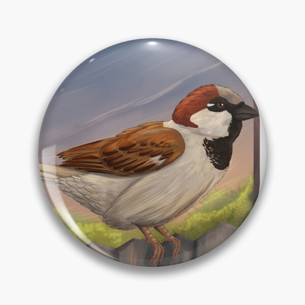 Item preview, House Sparrow designed and sold by DragonArtist15.