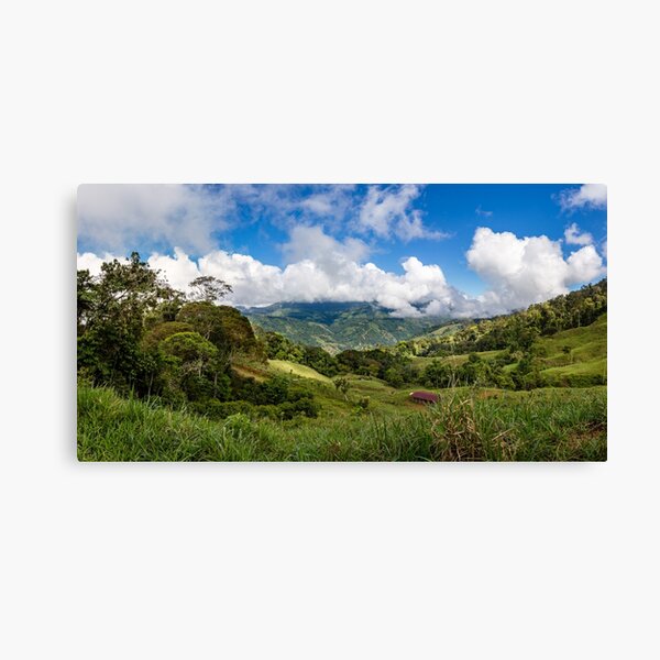 Canvas Print
