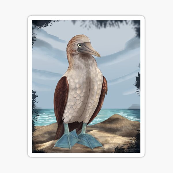 Item preview, Blue Footed Booby designed and sold by DragonArtist15.
