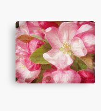 Memories Canvas Print