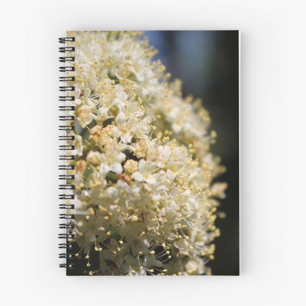 Item preview, Small White Flowers designed and sold by Cr8tive4life.