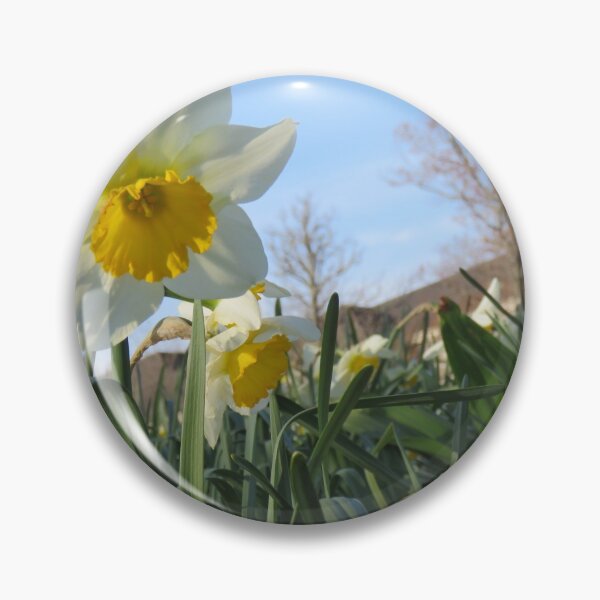 Item preview, yellow white flower in the grass designed and sold by AbbieBeast.