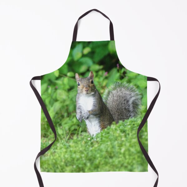 Item preview, Squirrel designed and sold by Frankie Cat Photography.