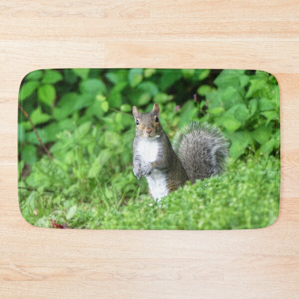 Item preview, Squirrel designed and sold by Frankie Cat Photography.