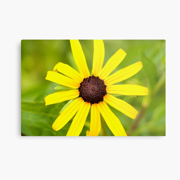 La Fleur Metal Print