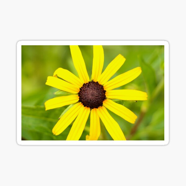La Fleur Sticker