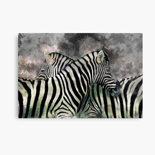 Menagerry worm schoner Aquarelle Zebras" Canvas Print for Sale by Aqua-Diamond | Redbubble
