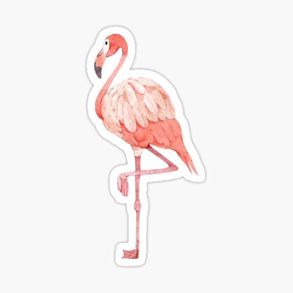 Sticker Rosa Flamingo Drucken Redbubble