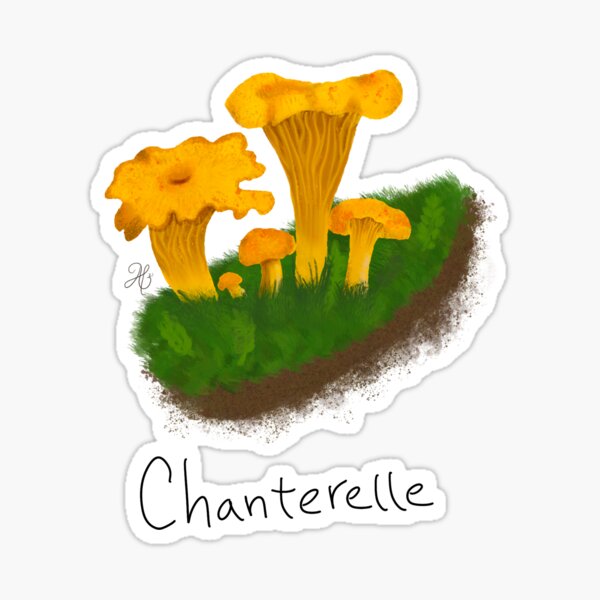 Item preview, Chanterelle designed and sold by Alliecat Arts.
