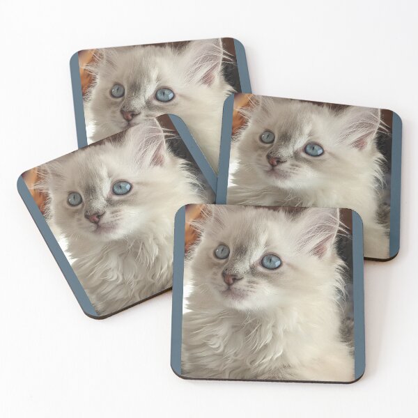 Item preview, Lynx ragdoll kitten designed and sold by Fluffycat2020.