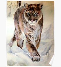 The Cougar Poster