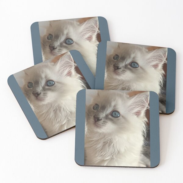 Item preview, Lynx ragdoll kitten designed and sold by Fluffycat2020.