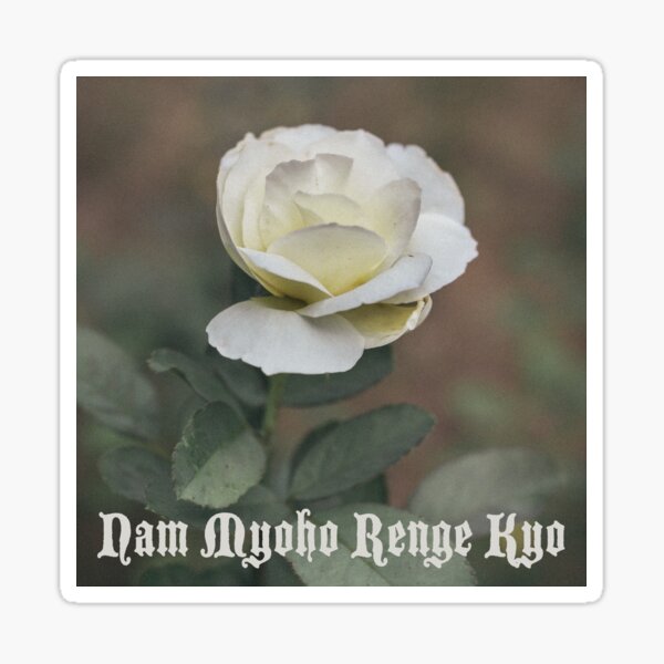 Nam Myoho Renge Kyo White Rose Sticker