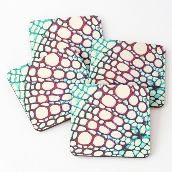 Item preview, Dicot stem vascular designed and sold by Delicarte.